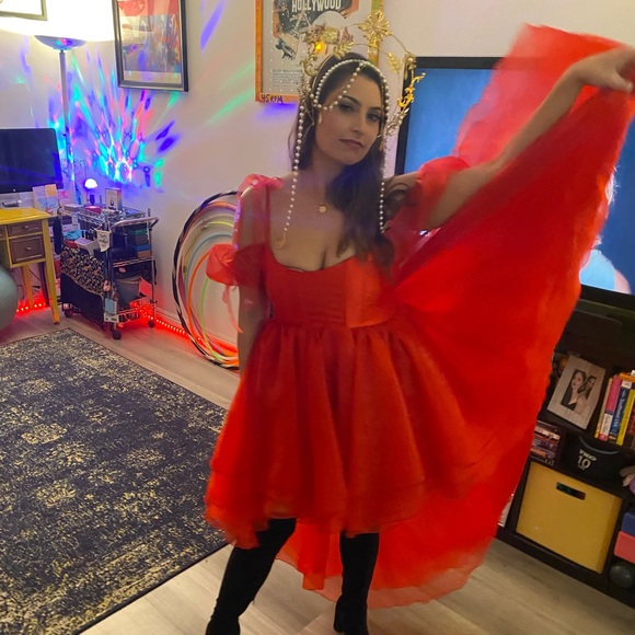 Meet your Posher, Priscilla - Picture 2 of 4